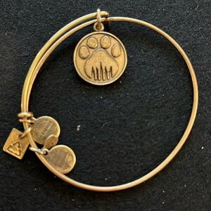 🛍️ Alex & Ani bracelet